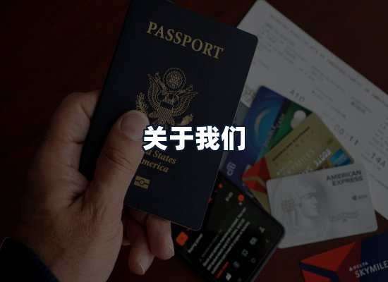 关于我们